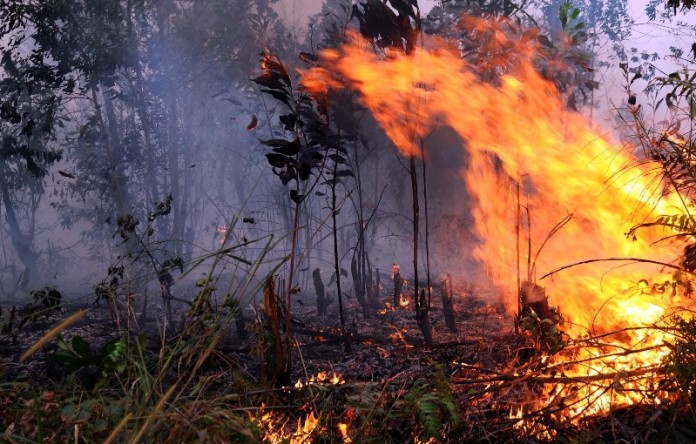 Balikpapan Paling Rawan Terjadi Kebakaran Hutan dan Lahan di Kaltim