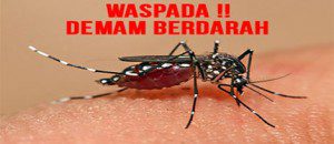 Waspada DBD. (sumber: depkes)