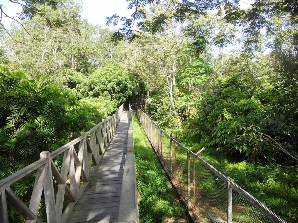 hutan lindung sungai wain Balikpapan