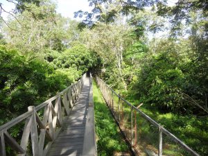 hutan lindung sungai wain