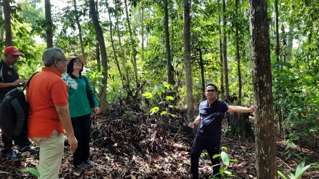 Wana Wisata Jadi Tempat Pengembangan Tanaman Langka Kalimantan Inibalikpapan Com