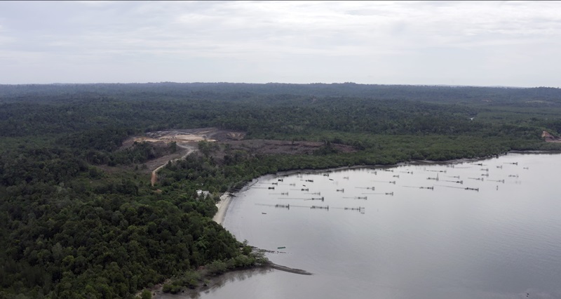 Mangrove di Teluk Balikpapan / FWB