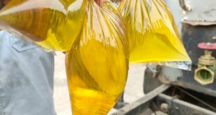 Harga Minyak Goreng di Jawa – Bali Turun Rp 14 Ribu Per Liter, Sosialisasi Peduli Lindungi Diperpanjang