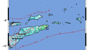 Maluku Barat Daya Diguncang Gempa Magnitude 6,5 Warga Berlarian Keluar Rumah