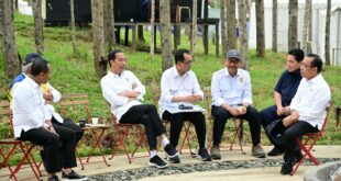 Hari ke-3 di IKN, Presiden Jokowi  akan Tinjau Pembangunan Jalan Akses Wisata Goa Batu Tapak Raja
