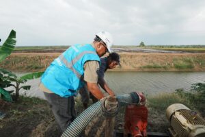 PT PLN (Persero) kembali menunjukkan komitmennya melalui Program Electrifying Agriculture (EA)