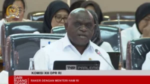 Natalius Pigai / suara