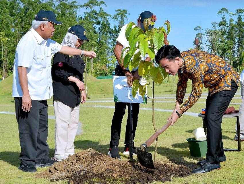 Wakil Presiden (Wapres) Gibran Rakabuming Raka menanam Pohon Ulin di Plaza Bhinneka Tunggal Ika, Kamis (29/5). ' Setwapres
