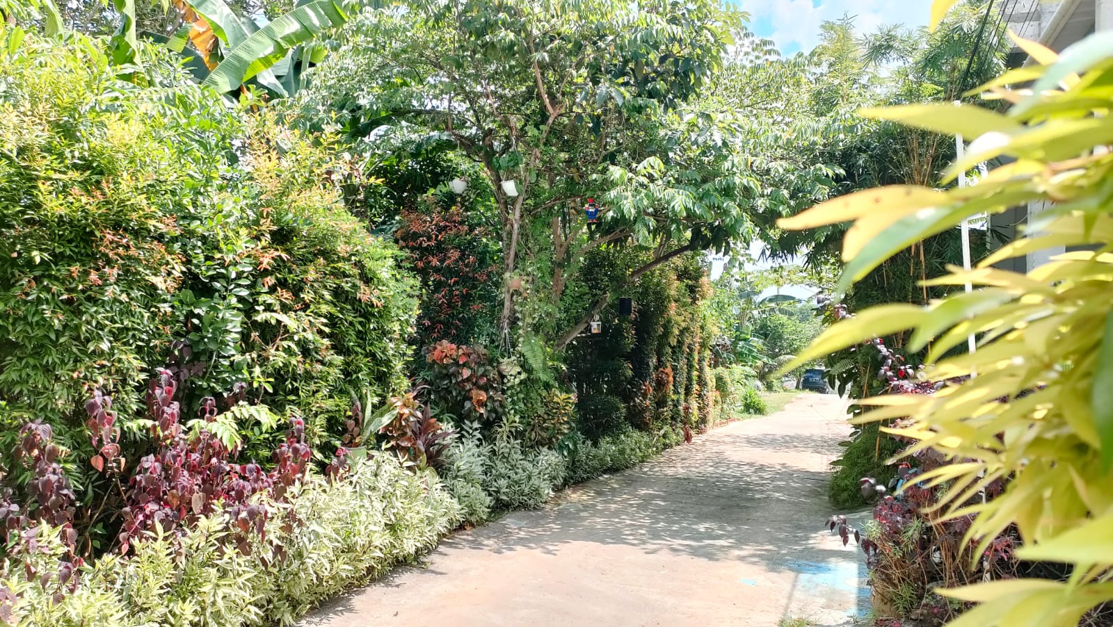 The Gala Puncak di RT25 Gang Lima Pesona Bukit Batuah, Kelurahan Graha Indah, Kecamatan Balikpapan Utara / Budi Susilo