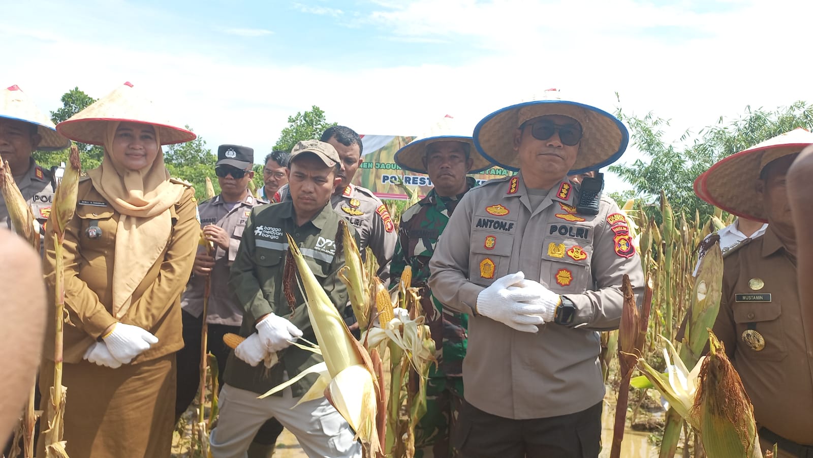 Kapolresta Balikpapan Kombes Pol Anton Firmanto panen jagung pipil di lahan seluas 1 hektare di Kelurahan Tritip, Balikpapan Timur, Senin (5/5/2025) / inibalikpapan