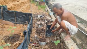 Soegianto atau yang biasa disapa Kakung bertelanjang dada pada Sabtu 14 Juni 2025 pagi di kawasan ruang terbuka hijau Gala Puncak RT25, Pesona Bukit Batuah, Kelurahan Graha Indah, Kecamatan Balikpapan Utara, Kota Balikpapan, Kalimantan Timur. Melakukan bersih-bersih sampah dan berkebun menghijaukan alam. (Foto : Budi Susilo)