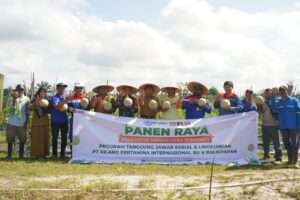 Kelompok Ketahanan Pangan Giri Mukti (KENARI) yang sukses menggelar panen raya melon di Desa Giri Mukti, Kabupaten Penajam Paser Utara.