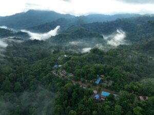 Perjalanan ditempuh tim PT Pertamina Patra Niaga Regional Kalimantan demi menjangkau Desa Mului