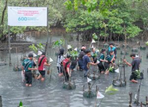 Telkomsel, Kolaborasi Bersama Ciro Waste Majukan Indonesia Melalui Penanaman 600 Bibit Mangrove di Balikpapan
