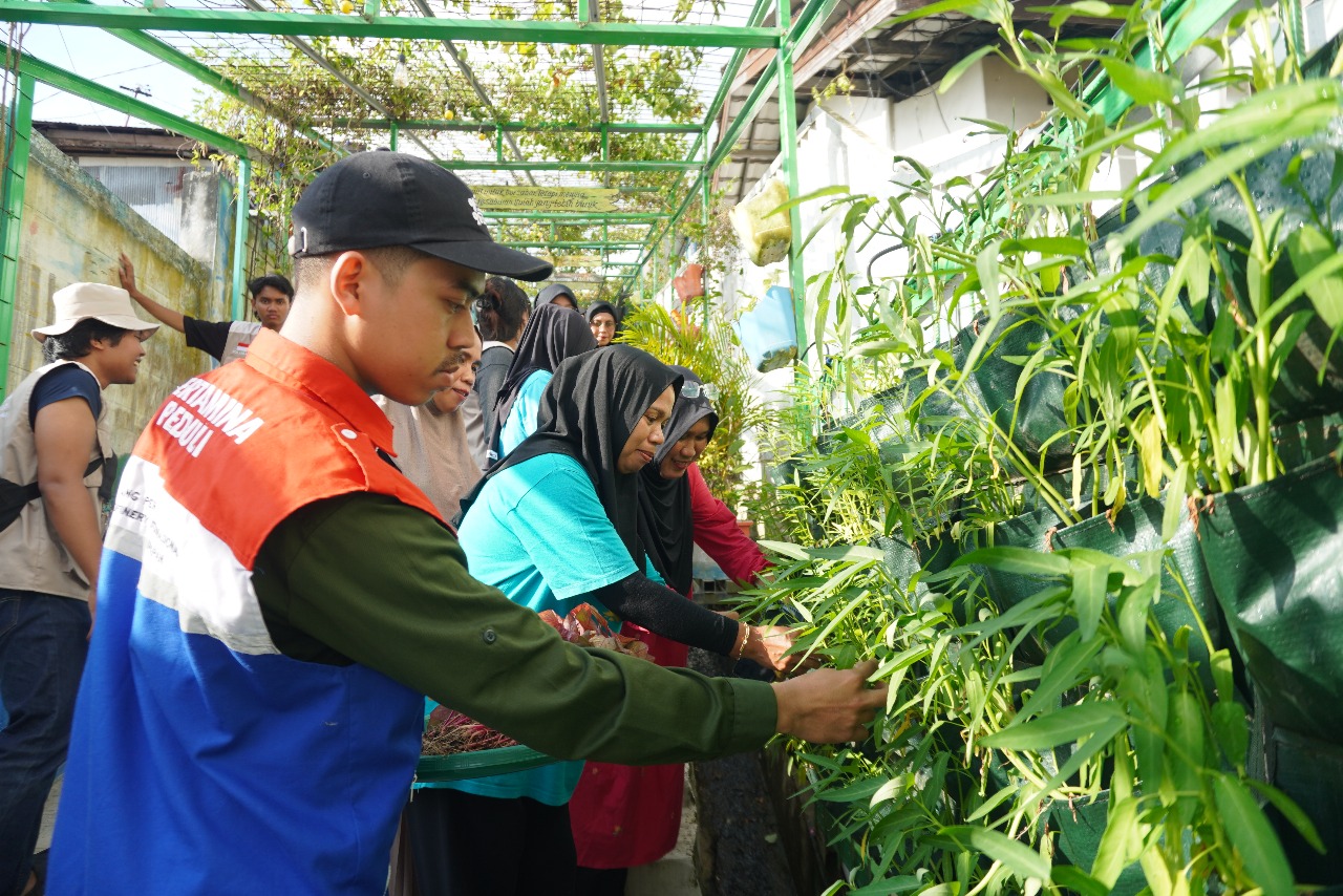 Mitra Binaan PT KPI Balikpapan Panen Sayur di Lorong Sempit Lewat Program Urban Farming