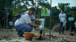 PLN Tanam 1.500 Pohon di Wisata Meranti, Rayakan HMPI 2025 dan Jaga Ekosistem DAS Manggar