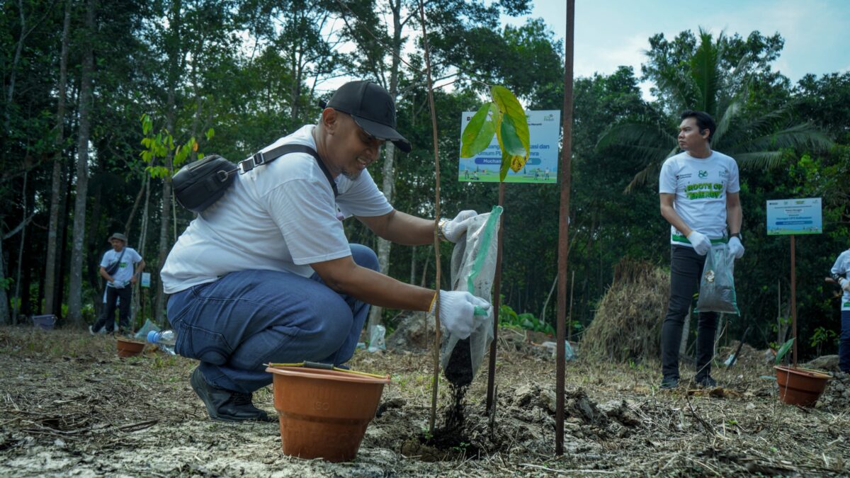 PLN Tanam 1.500 Pohon di Wisata Meranti, Rayakan HMPI 2025 dan Jaga Ekosistem DAS Manggar