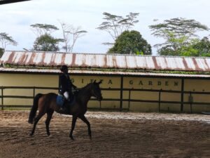 Kejuaraan berkuda Horse Competition “Champion of the Year 2025”di Balikpapan