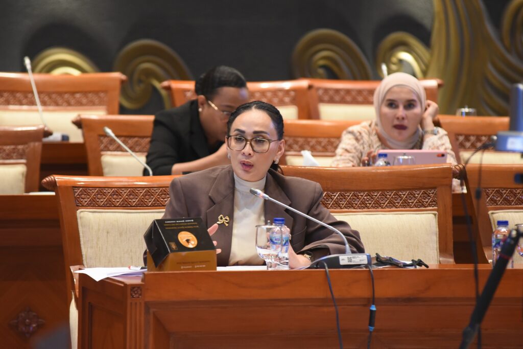 Anggota Komisi I DPR RI, Amelia Anggraini. Foto: Arief/Karisma/DPR