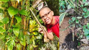 Proses pengembangbiakan bambu kuning di Gala Puncak, Kelurahan Graha Indah, Kecamatan Balikpapan Utara untuk ditanam di tempat yang berbeda agar semakin banyak vegetasi pohon bambu demi lingkungan asri dan nyaman, Minggu (18/1/2026). Dari Gala Puncak Balikpapan, bambu kuning membuktikan bahwa aksi kecil bisa memberikan keuntungan besar bagi semesta. Mari menanam sebelum terlambat datang mara bahaya longsor dan cuaca panas ekstrem.