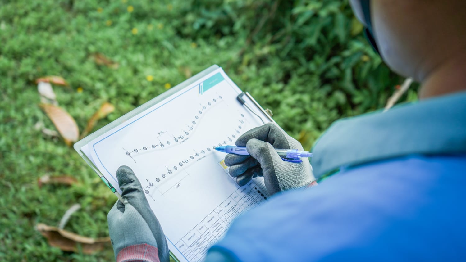 PLN Catat 85,26 Persen Desa di Kaltim–Kaltara Sudah Berlistrik hingga 2025