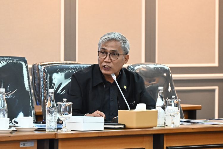 Anggota Komisi XIII DPR RI Mafirion. Foto: Runi/Mahendra/DPR