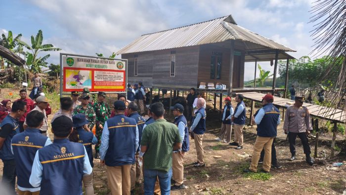 Tahura Bukit Soeharto: 60 Persen Kawasan Rusak, Otorita IKN Seret Perambah ke Meja Hijau. (foto : IST)