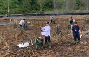 Wali Kota Balikpapan menanam bibit di lahan tidur sebagai upaya mendorong ketahanan pangan dan penghijauan kota.
