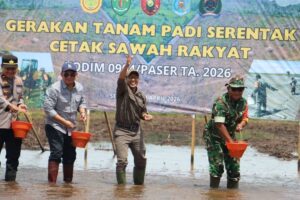 Gerakan Tanam Serempak di lokasi Cetak Sawah Rakyat Kabupaten Paser 2025 (foto : Pemprov)