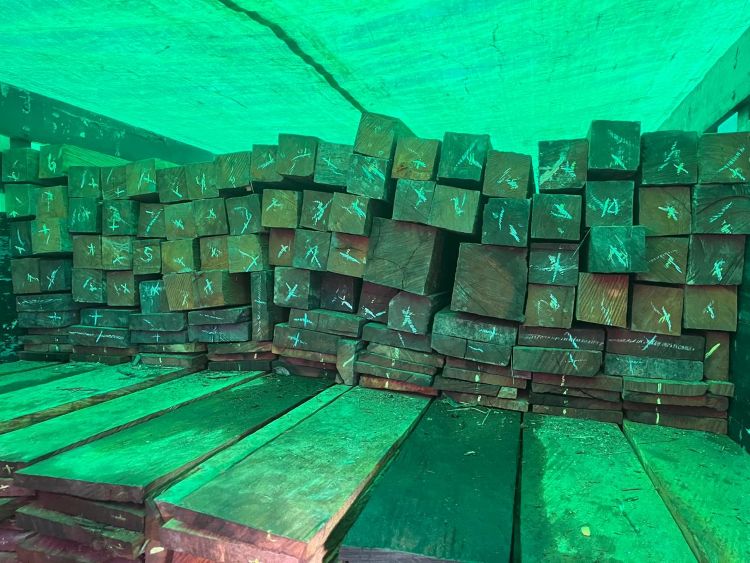 Pangkalan TNI AL (Lanal) Balikpapan berhasil menggagalkan upaya pengiriman kayu ulin ilegal di Pelabuhan Semayang pada Selasa (21/4/2026)