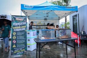 Pameran reptil turut memeriahkan momen liburan Hari Kenaikan Yesus Kristus di Nusantara Park IKN sebagai sarana edukasi warga mengenai satwa pada Sabtu-Minggu (16/5/2026-17/5/2026). (foto : Humas IKN)