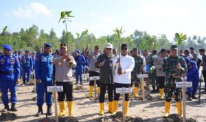 Pangdam VI Mulawarman Mayjen TNI Krido Pramono, Kapolda Kaltim Irjen Pol Endar Priantoro, dan Gubernur Rudi Mas'ud melakukan penanaman bibit mangrove di Lamaru Balikpapan (foto : Pemprov)