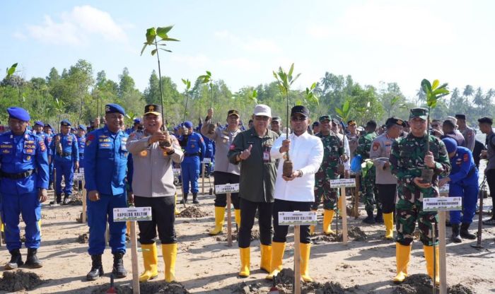 Pangdam VI Mulawarman Mayjen TNI Krido Pramono, Kapolda Kaltim Irjen Pol Endar Priantoro, dan Gubernur Rudi Mas'ud melakukan penanaman bibit mangrove di Lamaru Balikpapan (foto : Pemprov)