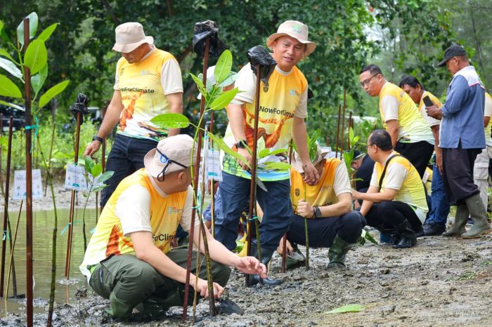 Otorita IKN bersama sejumlah mitra melaksanakan kegiatan Aksi Bersih Pantai dan Penanaman Mangrove di Pantai Tanah Merah, Kelurahan Tanjung Harapan, Kecamatan Samboja, pada Sabtu (13/06/2026).