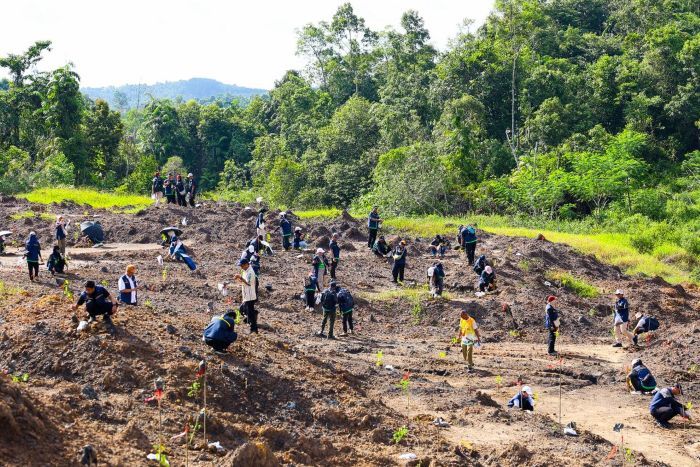 Otorita IKN bersama pemerintah daerah, aparat penegak hukum, Kementerian/Lembaga, Badan Usaha Milik Negara (BUMN), sektor swasta, akademisi, lembaga swadaya masyarakat, komunitas petani, hingga masyarakat lokal melakukan kegiatan revegetasi pada lahan bekas tambang ilegal di kawasan Taman Hutan Raya (Tahura) Bukit Soeharto, Kecamatan Samboja, Kabupaten Kutai Kartanegara, Kamis (18/06/2026).