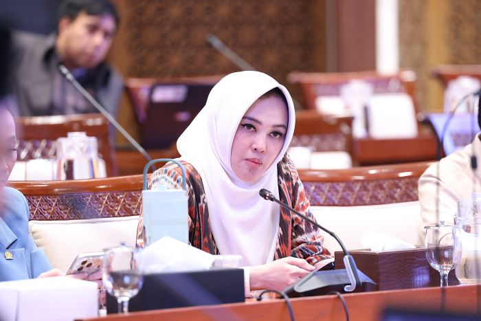 Anggota Komisi I DPR RI Sarifah Ainun Jariyah. Foto : Arief/Andri/DPR