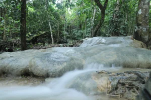 Keindahan Air Terjun Tangga Bidadari di Desa Selangkau menjadi perhatian dalam proses verifikasi Geopark Sangkulirang-Mangkalihat (foto : Pemprov)