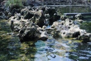 Geosite Mata Air Panas Asin Pemapak di Kampung Pemapak, Kecamatan Biatan