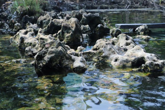 Geosite Mata Air Panas Asin Pemapak di Kampung Pemapak, Kecamatan Biatan