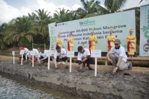 Nestlé Indonesia, Pemerintah Kabupaten Paser, dan Yayasan Hutan Tropis menanam bibit mangrove secara simbolis di Desa Modang, Kecamatan Kuaro, Kabupaten Paser, Kamis (2/7/2026). Foto: PT Nestlé Indonesia
