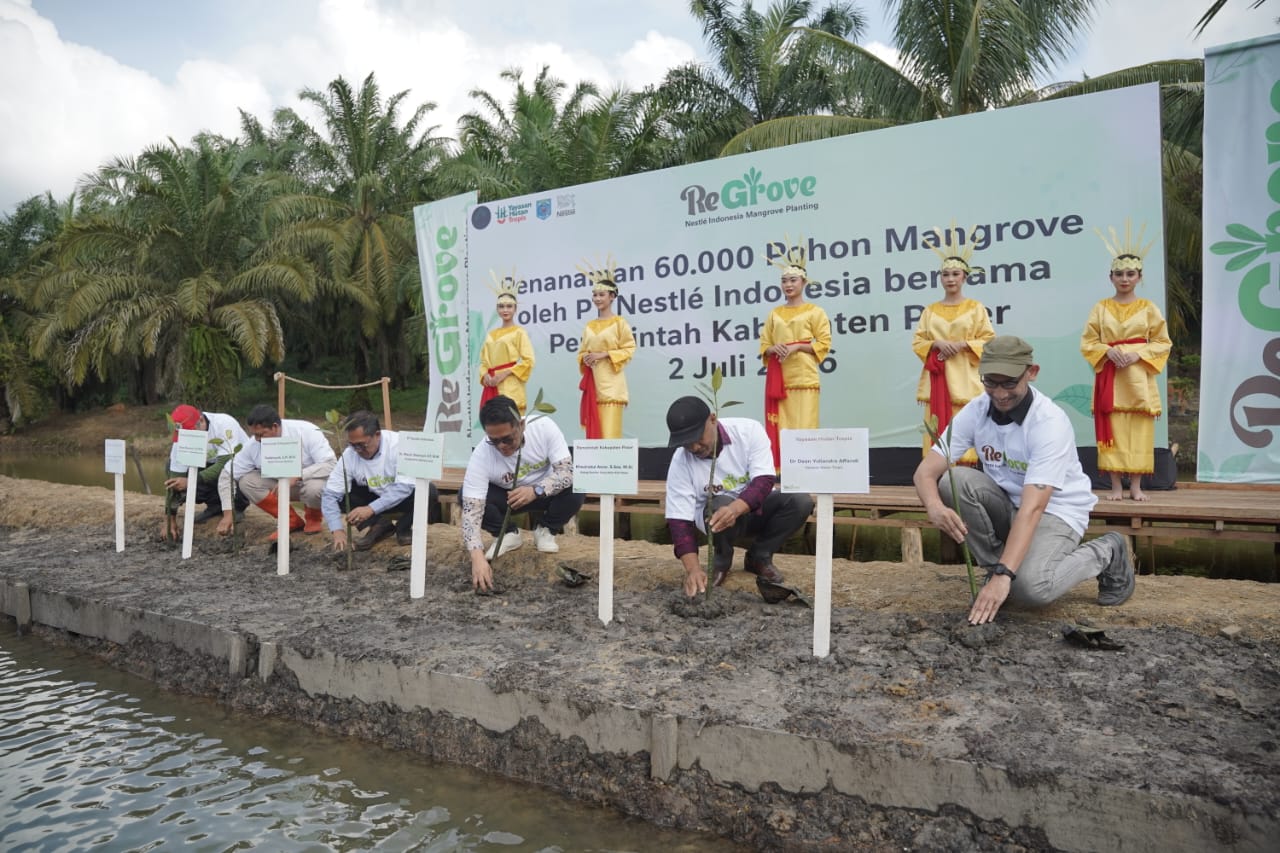 Nestlé Indonesia, Pemerintah Kabupaten Paser, dan Yayasan Hutan Tropis menanam bibit mangrove secara simbolis di Desa Modang, Kecamatan Kuaro, Kabupaten Paser, Kamis (2/7/2026). Foto: PT Nestlé Indonesia