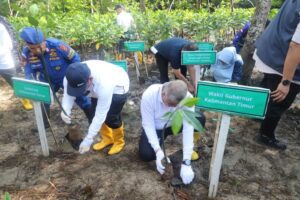 Pemerintah Provinsi Kalimantan Timur (Pemprov Kaltim) memperingati Hari Mangrove Sedunia 2026 dengan menanam 12.000 bibit mangrove di Pantai kawasan Lamaru, Kota Balikpapan, Minggu (26/7/2026).