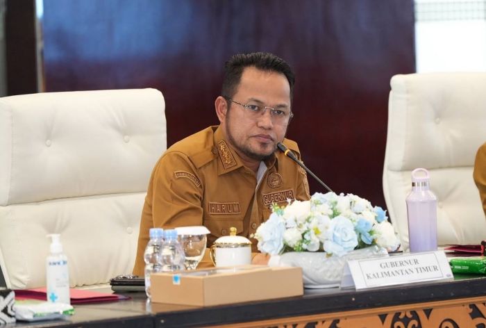Gubernur Kaltim Rudy Mas'ud (foto : Pemprov)