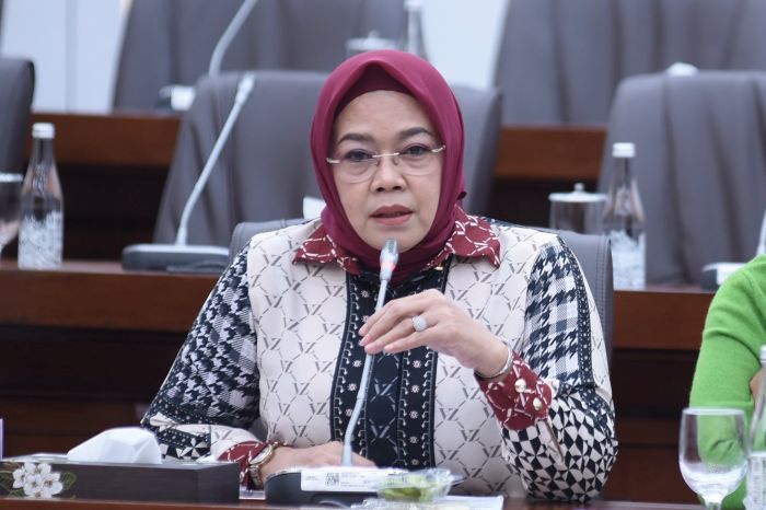 Anggota Komisi VI DPR RI, Ida Nurlaela Wiradinata. Foto : Dok/Andri
