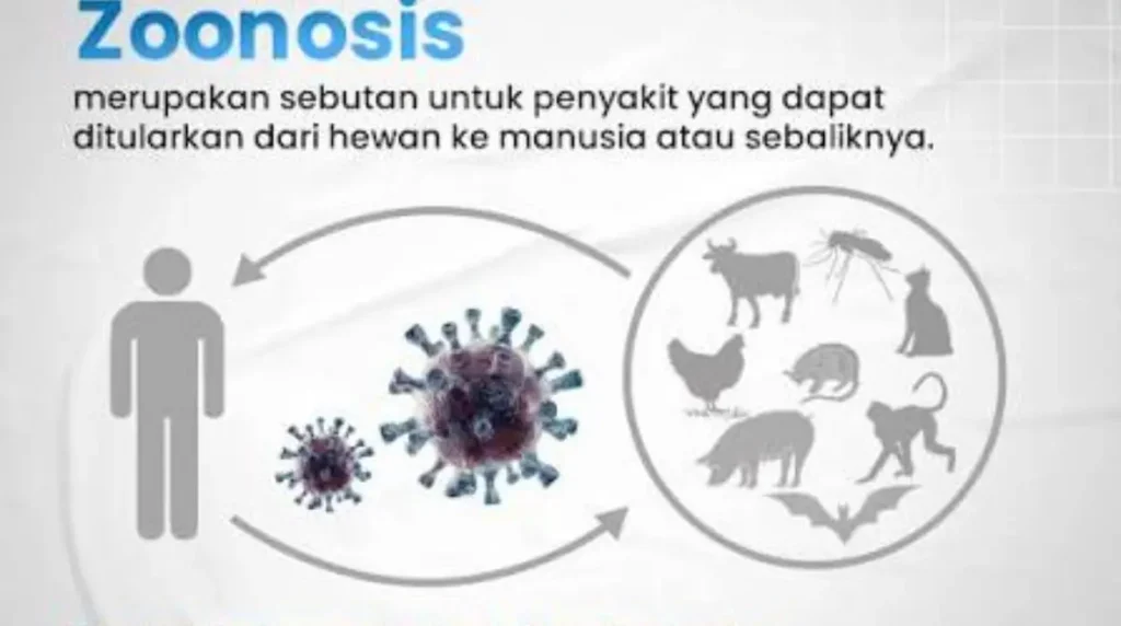 Zoonosis merupakan penyakit infeksi yang dapat disebabkan oleh bakteri, parasit, jamur, virus, maupun agen penyakit lainnya.