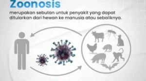 Zoonosis merupakan penyakit infeksi yang dapat disebabkan oleh bakteri, parasit, jamur, virus, maupun agen penyakit lainnya.