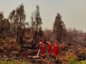 Karhutla Kalimantan makin mengkhawatirkan. Sebanyak 518 hotspot terdeteksi dalam sehari, dengan total 750 titik selama 17–19 Agustus 2026.