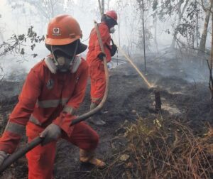 Dalam sehari, jumlah hotspot di Indonesia turun 56,2 persen, dari 2.170 titik pada 19 Agustus menjadi 950 titik pada 20 Agustus 2026.