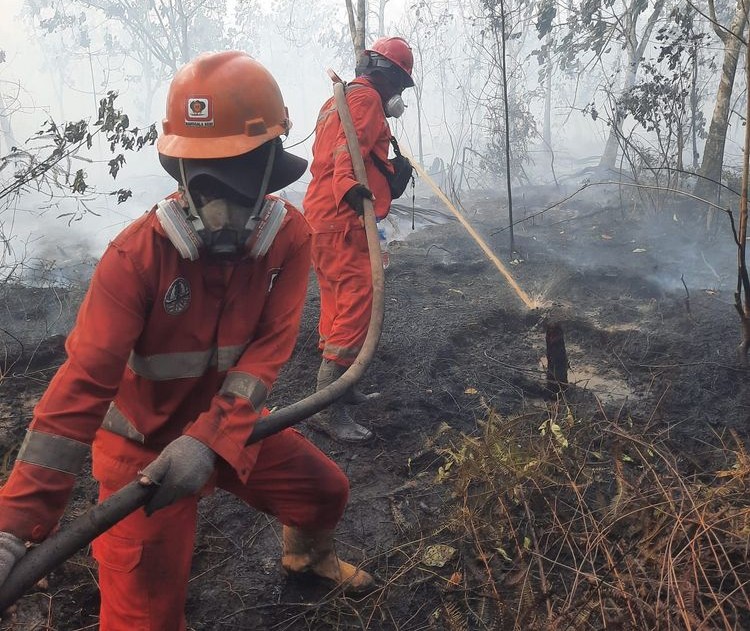 Dalam sehari, jumlah hotspot di Indonesia turun 56,2 persen, dari 2.170 titik pada 19 Agustus menjadi 950 titik pada 20 Agustus 2026.