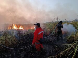 Ancaman kebakaran hutan dan lahan (karhutla) di Kalimantan Selatan belum mereda
